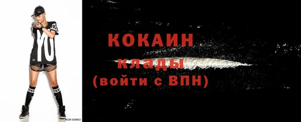 тгк Каменногорск