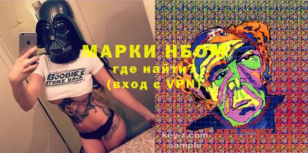 тгк Каменногорск
