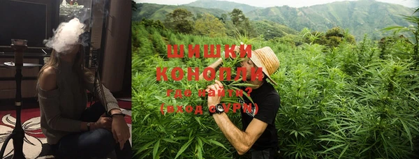 тгк Каменногорск