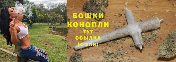 тгк Каменногорск